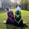 Dingo Hundegeschirre Sled Große L Farbe Rosa Zuggeschirr Produktbild-Vorschau 6