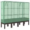 A raised garden bed with a greenhouse cover. Produktbild-Vorschau