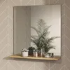 A bathroom mirror with a shelf displaying toiletries and a plant, mounted on a tiled wall. Náhled obrázku produktu