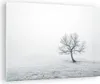 Bilder auf glas - Baum Feld Natur - 70x50cm - Glasbilder - Produktbild-Vorschau 1