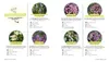 Keine Zeit zu Gärtnern - Blumenparadies mit wenig Aufwand Produktbild-Vorschau 5