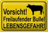 Blechschild Hinweis 30x20cm Vorsicht freilaufender Bulle Produktbild-Vorschau 1