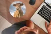 MuchoWow® Mauspad Mousepad Kuh - Braun - Natur 20x20 cm - Produktbild-Vorschau 3