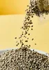 KoRo I Ungeschälte  Hanfsamen 1 kg Produktbild-Vorschau 5