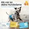 HUND IST KÖNIG Windeln für Hündinnen [3 Stk], M (Taille Produktbild-Vorschau 2