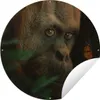 MuchoWow® Produktbild-Vorschau 1