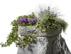 GreenLife Pflanzschale GreenLine für Dekorregenspeicher Produktbild-Vorschau 2