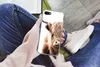 MuchoWow® Handyhülle Schutzhülle Hülle für iPhone 8 Produktbild-Vorschau 3