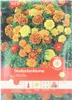 Pabst Keimkraft - Studentenblume Little Bee Samen - 173710 Produktbild-Vorschau 3