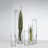 SANDRA RICH, Solifleur, schlanke Glas Vase 5 x 30cm Produktbild-Vorschau 9