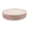 A stack of four pink plates on a white background. Anteprima dell’immagine prodotto
