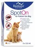 Redisan Spot-on gegen Zecken+Flöhe f.Katze bis 8kg 5X2 ml Produktbild-Vorschau 1