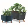 Two planters with plants on a white background. Náhled obrázku produktu