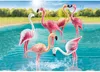 PLAYMOBIL Flamingoschwarm 70351 Produktbild-Vorschau 7
