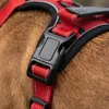 belviona Anti-Zug Hundegeschirr, gepolstertes Y-Geschirr Produktbild-Vorschau 4