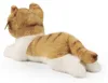 Peluche Chat 25 Cm Ecologique Voir les images du produit 2