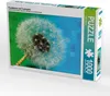 Calvendo Pusteblume mit Tautropfen 1000 Teile Puzzle quer Produktbild-Vorschau 1