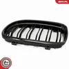 ESEN SKV 66SKV099 Kühlergrill Frontgrill für BMW 3 Coupe Produktbild-Vorschau 14