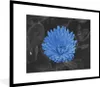 MuchoWow® Gerahmtes Poster Blumen - Schwarz - Weiß - Blau Produktbild-Vorschau 1