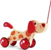 Hape Push & Pull Hündchen Puppy, E0347 Produktbild-Vorschau 24