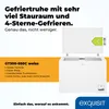 A chest freezer with its lid open, alongside descriptive text and an energy efficiency label. Produktbild-Vorschau