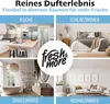 Fresh & More Lufterfrischer Nachfüller (12er Mix Pack) Produktbild-Vorschau 7