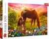 Puzzle 500 Pferde Auf Der Wiese 37451 Produktbild-Vorschau 1