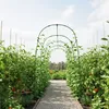 Treillis Relaxdays pour plantes grimpantes, support Voir les images du produit 3
