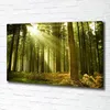 Tulup® Leinwandbild - 100x70 cm - Wandkunst - Drucke auf Produktbild-Vorschau 2