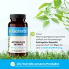 Bioherba Astragalus Extrakt 300 mg 100 Kapseln Produktbild-Vorschau 3