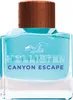 Hollister - Canyon Escape - Pour hommes, 100 ml Voir les images du produit 8