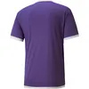Puma Team League Jersey s krátkym rukávom - fialová / biela Náhľad obrázku produktu 2