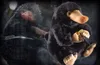 Bestie fantastiche - Peluche "Niffler Anteprima dell’immagine prodotto 2