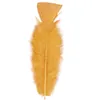 "50 FEDERN" orange - ca. 10 cm Produktbild-Vorschau 2