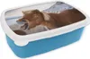 KitchenYeah® Lunchbox Brotzeit Brotdose 17x11 cm Lächelndes Produktbild-Vorschau 1