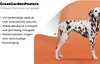 MuchoWow® Produktbild-Vorschau 2