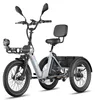 FAFREES F20 Mate II Vélo électrique - Moteur 250W batterie Voir les images du produit 1