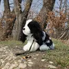Peluche King Charles Spaniel Con Guinzaglio 27 Cm Eco-f. Anteprima dell’immagine prodotto 4