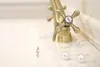A close-up shot of a brass faucet in a sink, with two pearl-like objects in the foreground. Anteprima dell’immagine prodotto