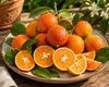 Rangpur Limette, Lima Rossa, 70–100 cm. *Citrus limonia*. Productafbeelding-voorbeeld 3