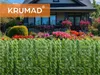 KRUMAD Sztuczny żywopłot z bluszczu Parawan ochronny 300 x Podgląd zdjęcia produktu 2