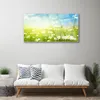 Acrylglasbilder 100x50 Wandbild Druck Wiese Gänseblümchen Produktbild-Vorschau 3