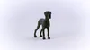 schleich 13962, 3 Jahr(e), Dogs, Farm animals / farm toys, Produktbild-Vorschau 2