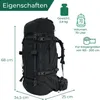 Steinwood Trekkingrucksack 70L (neu 2024), Wanderrucksack, Produktbild-Vorschau 5