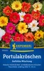Portulaca Doppio miscuglio, robusto - resistente al calore Anteprima dell’immagine prodotto 1