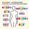 Witamina B Complete Hevert All-in-One ze wszystkimi 8 Podgląd zdjęcia produktu 3