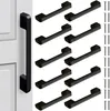A collection of black cabinet handles and screws arranged on a white background. Anteprima dell’immagine prodotto