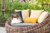 MuchoWow® Outdoor Kissen - Schottisches Hochlandrind - Baum Produktbild-Vorschau 3