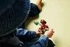 LEGO® Jurassic World™ 76970 Babydinosaurier Dolores: Produktbild-Vorschau 29