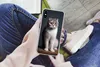 MuchoWow® Handyhülle Schutzhülle Hülle für iPhone X Katze - Produktbild-Vorschau 3